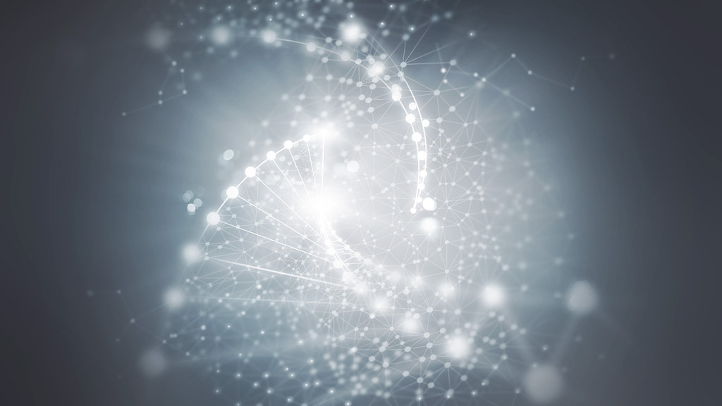 Abstract digital network connections