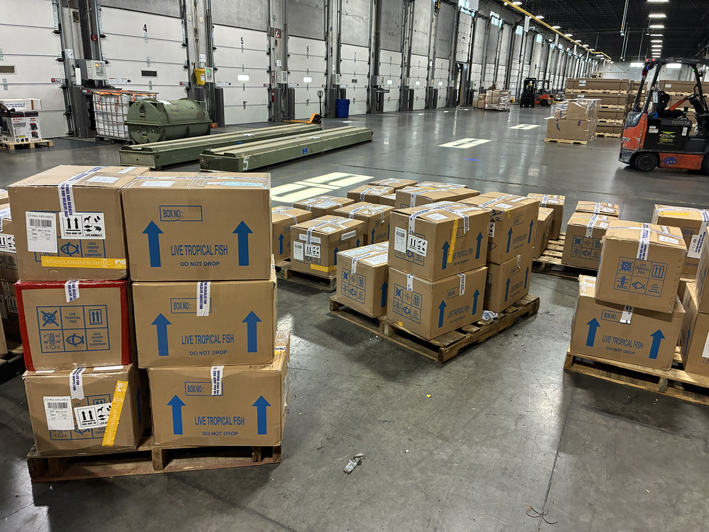 Pallets of boxed equipment with a forklift in a warehouse