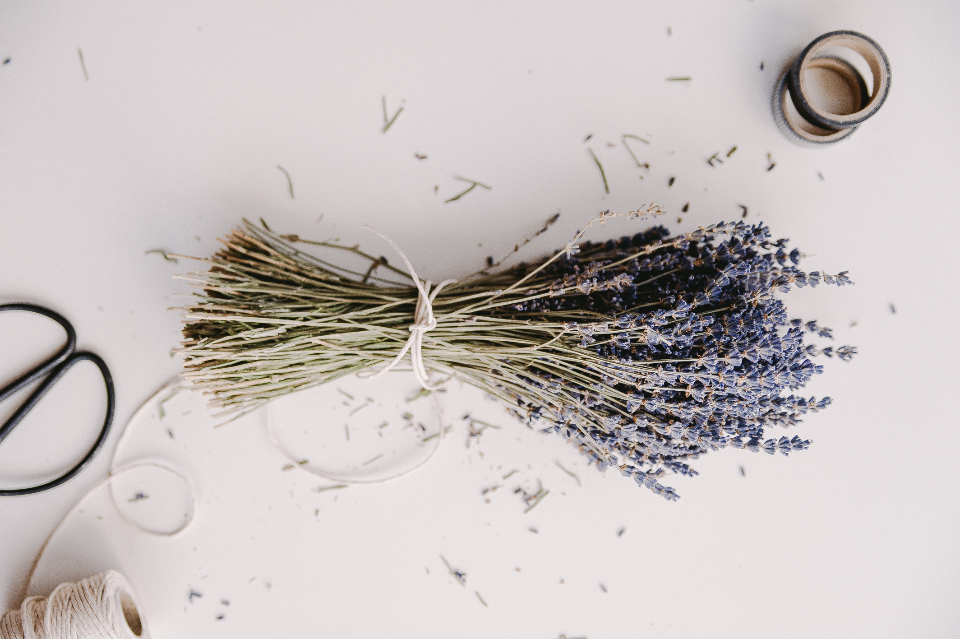 Dried lavender bundle with craft twine